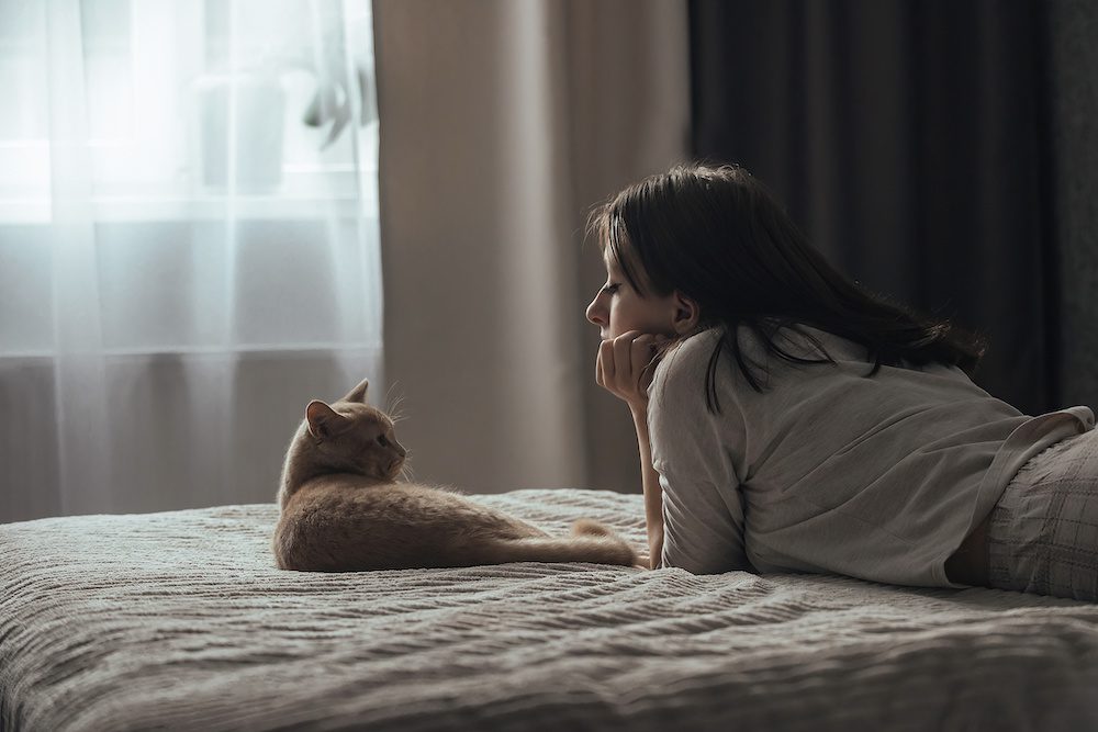 Sad young woman in pajamas with seasonal affective disorder lies alone on the bed near the window, next to the domestic cat. The concept of winter depression due to lack of sunlight